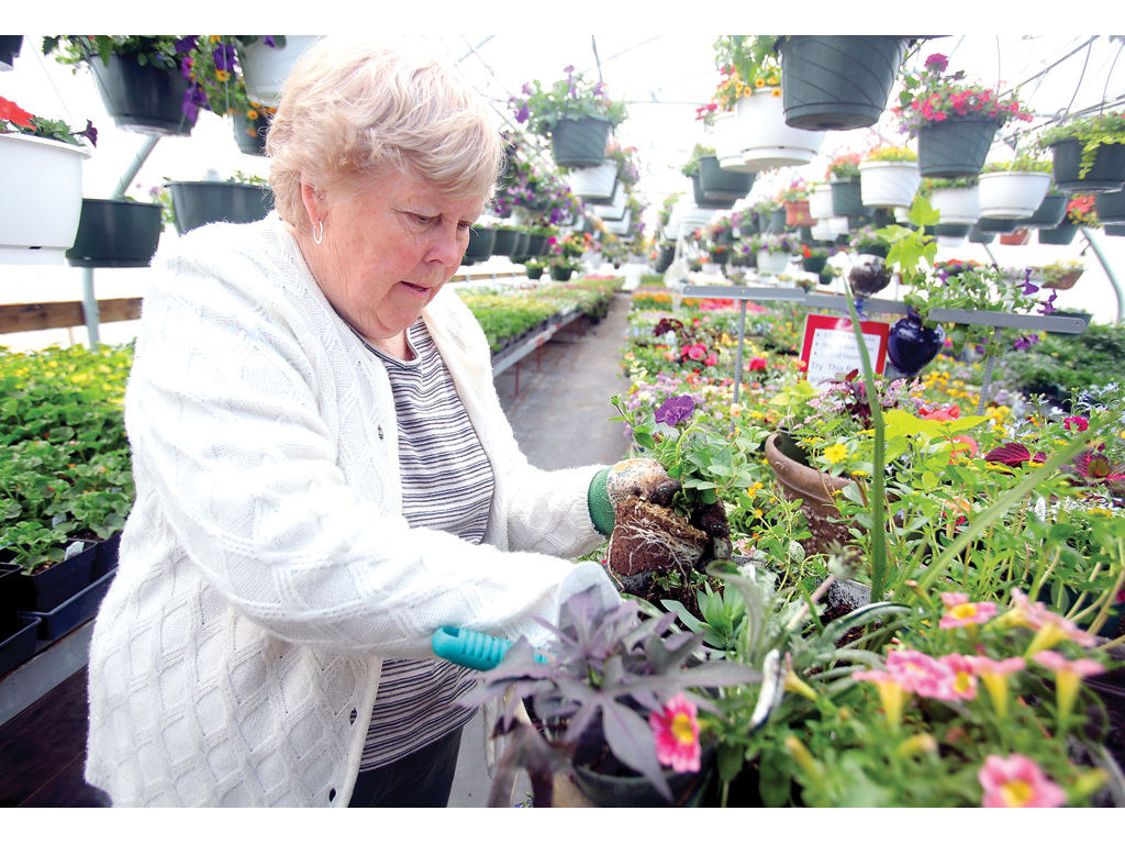 layton nursery helps patrons get a jump on summer pots News, Sports